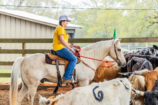 A customer building their confidence while working with cows during a Horse Help retreat, emphasizing personal growth and overcoming challenges.