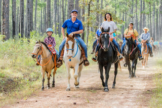 Buy One Get One FREE - $3,000 Horse Training Months