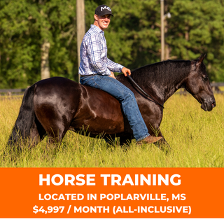 Michael Gascon confidently riding a horse, featured in a promotional image for an all-inclusive horse training package priced at $4,997. Elevate your equestrian skills with personalized instruction from an expert.