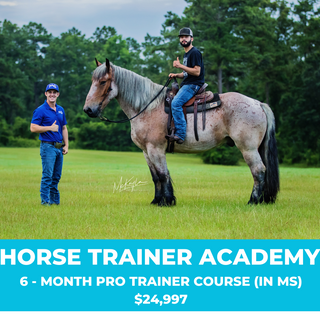 Promotional image featuring Michael Gascon alongside a Horse Trainer Academy student, promoting a 6-month Pro Trainer Course valued at $24,997. Elevate your horsemanship skills and embark on a professional training journey with expert guidance.