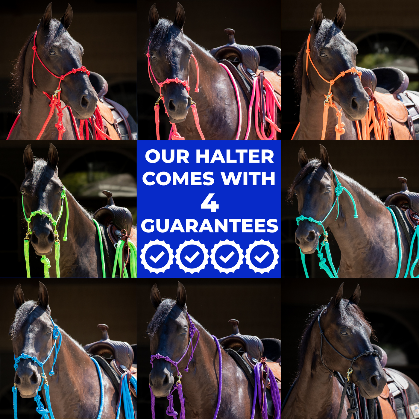 MG Halter (Google) – Horse Help