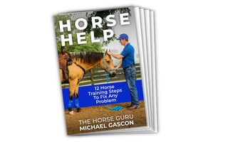 Michael Gascon actively working on a horse, serving as a teaser for the Horse Help Workbook: 12 horse training steps to fix any problem.