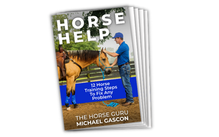 Michael Gascon actively working on a horse, serving as a teaser for the Horse Help Workbook: 12 horse training steps to fix any problem.