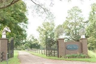 Entrance gate of Horse Haven Ranch, welcoming visitors to the equestrian facility.