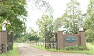 Entrance gate of Horse Haven Ranch, welcoming visitors to the equestrian facility.