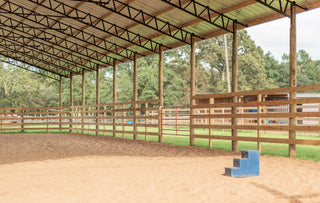 Discover the expansive arena at Horse Haven Ranch, the perfect space for horse training, riding, and various equestrian activities. The well-equipped arena provides a safe and versatile environment for both riders and horses.
