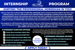 Horse Help Internship Program flyer featuring program description, five internship duration options, and three internship program choices. Explore unique learning opportunities in equine care and horsemanship.