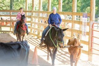 A customer building their confidence while working with cows during a Horse Help retreat, emphasizing personal growth and overcoming challenges.