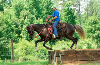 Image of a retreat participant confidently guiding her horse through an obstacle, demonstrating skill and partnership during the retreat activities.