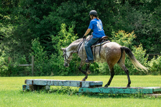 Image of a retreat participant confidently guiding her horse through an obstacle, demonstrating skill and partnership during the retreat activities.