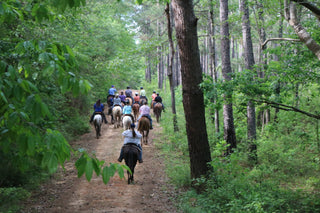 Michael Gascon leading a group of clients on a scenic trail ride, fostering camaraderie and enjoying the equestrian experience together.