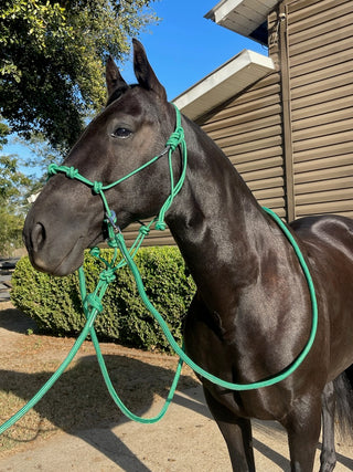 MG Halter, Lead Rope, Reins Full Set
