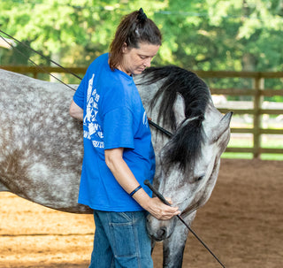 A participant of the Horse Help retreat focused on her horse's training in an arena. Engaged in the session, she demonstrates dedication and concentration, seeking to enhance her horsemanship skills and deepen her bond with her equine companion.