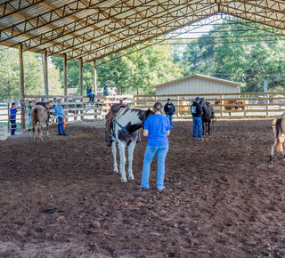 Michael Gascon guiding retreat participants and their horses in the arena, fostering a collaborative and educational equestrian experience.