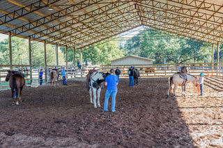 Buy One Get One FREE - $3,000 Horse Training Months