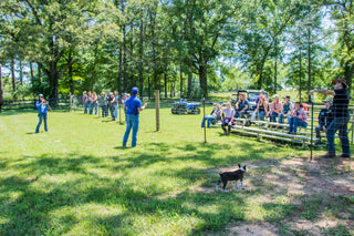 Michael Gascon actively teaching participants and auditors during a Gascon horsemanship clinic, sharing knowledge and skills in equestrian training.