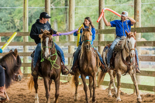 6 Month Academy Program - Professional Horse Trainer Course (50% Off)