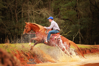 Michael Gascon riding a warmblood gelding on the trail, showcasing a harmonious partnership and enjoying the outdoor experience.