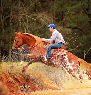 Michael Gascon riding a warmblood gelding on the trail, showcasing a harmonious partnership and enjoying the outdoor experience.