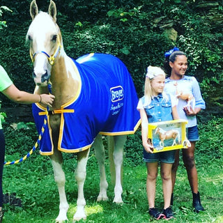 Image of two girls posing with their Breyer Model Horses King models alongside Kelsey Gascon's horse, King, creating a delightful and whimsical scene blending real and miniature equine worlds.