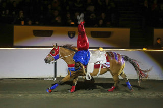 Image of a Trixie Chicks Rider performing during a Trixie Chicks Riders performance, showcasing extraordinary equestrian skills and thrilling tricks.