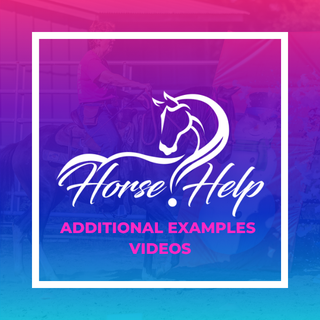 Challenge A La Carte: Additional Examples Videos