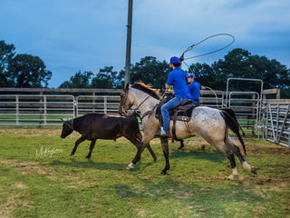 6 Month Academy Program - Professional Horse Trainer Course (50% Off)