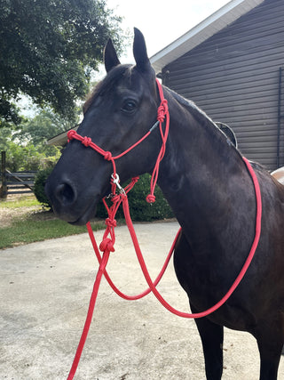 MG Halter, Lead Rope, Reins Full Set