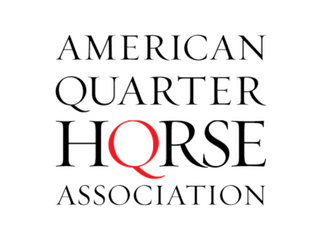 American Quarter Horse Association