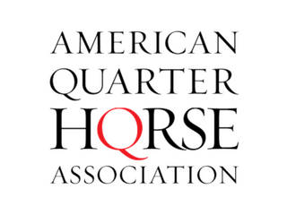 American Quarter Hqrse Association