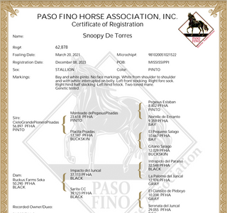 Paso Fino Horse Association, Inc. Certification of Registration