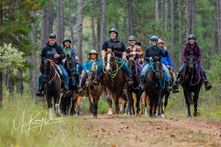 $50 Raffle - Choice Of Horse Training, Mastermind, Or Retreat Spot