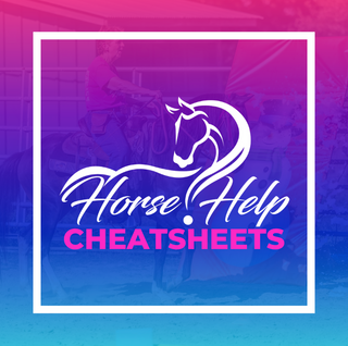 Challenge A La Carte: Cheatsheets