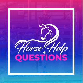 Challenge A La Carte: Submit Questions