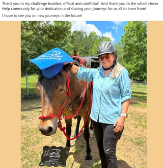 Upgrade To VIP For The Horse Help Challenge