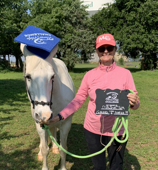 Horse Help Challenge (100% FREE For New Challengers!)