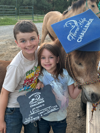 Upgrade To VIP For The Horse Help Challenge