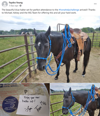 Horse Help Challenge (100% FREE For New Challengers!)