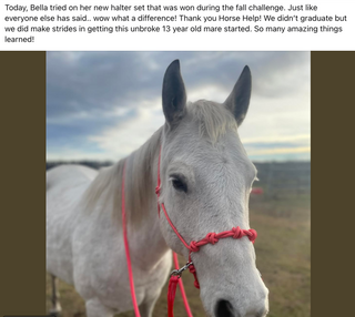 Horse Help Challenge (100% FREE For New Challengers!)