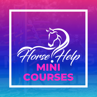 Challenge A La Carte: Mini-Courses