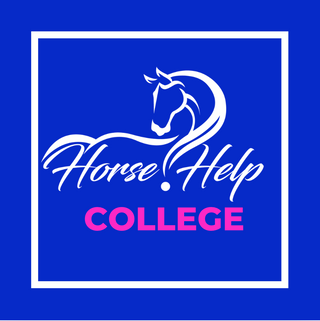 Challenge A La Carte: Horse Help College