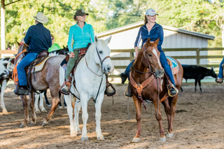 Challenge A La Carte: Horse Help Club Videos