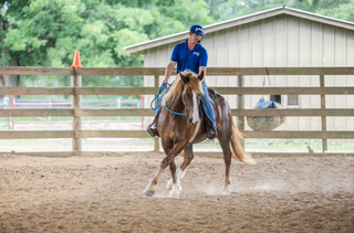 Challenge A La Carte: Horse Help College