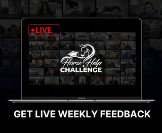 Challenge A La Carte: VIP Courses