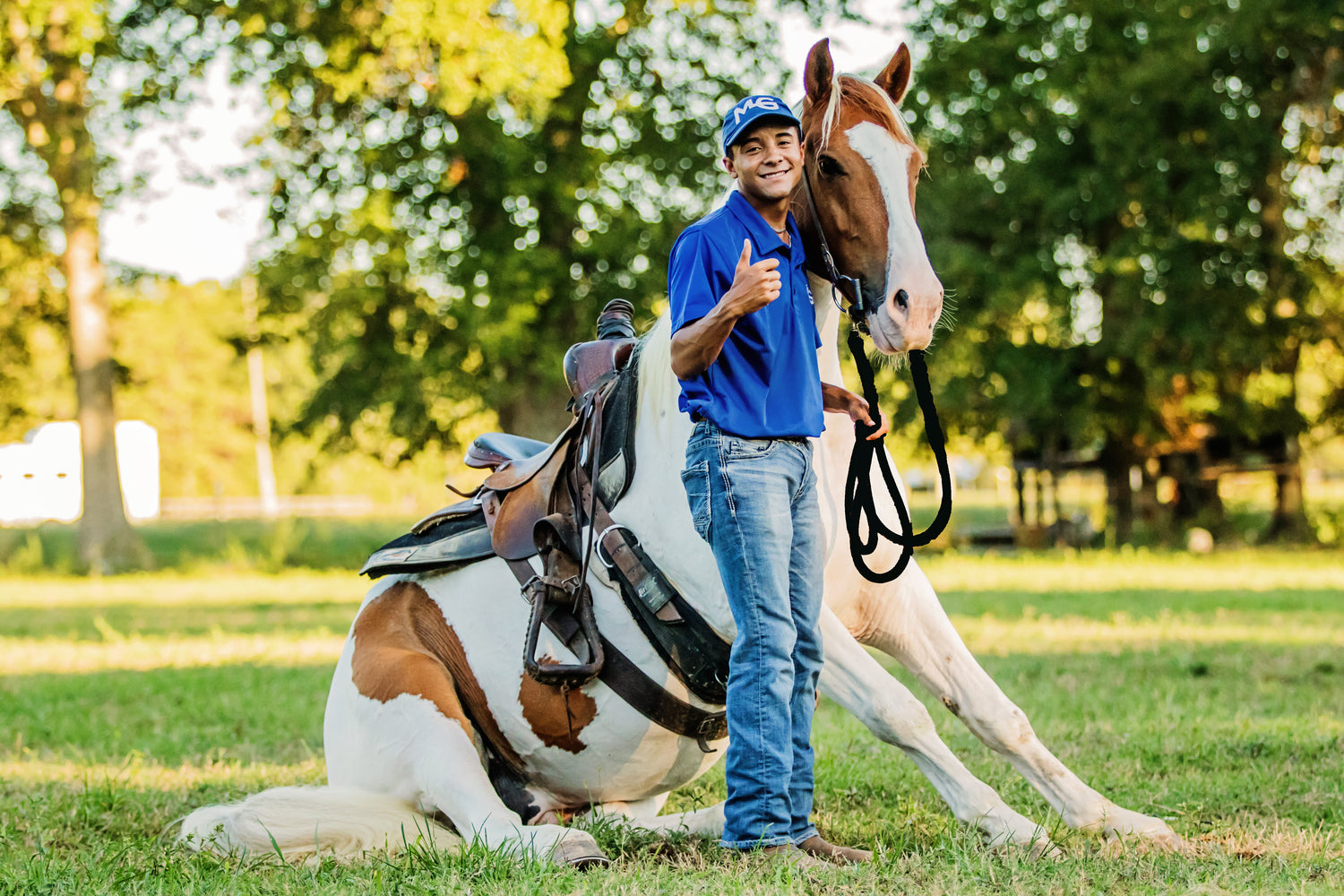 Certified Trainers Horse Help