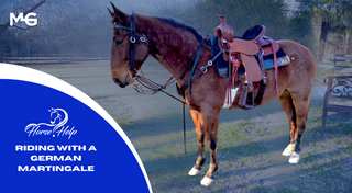 Challenge A La Carte: Adv. Tack & Tools Videos