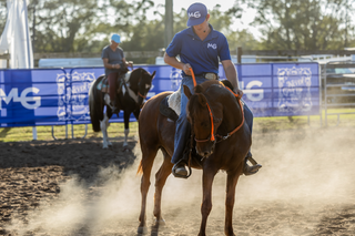 Challenge A La Carte: Untrained Horse Example Videos