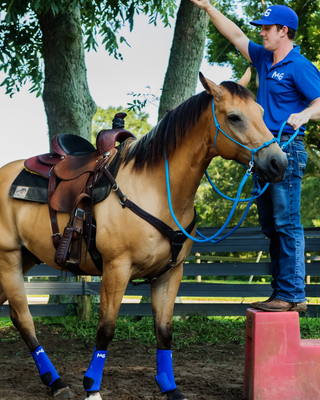 Challenge A La Carte: Untrained Horse Example Videos