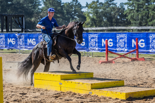 Challenge A La Carte: Untrained Horse Example Videos