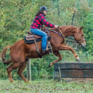 Challenge A La Carte: Untrained Horse Example Videos